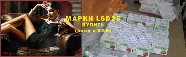 PSILOCYBIN Алзамай