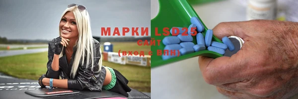 PSILOCYBIN Алзамай