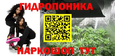 круглые Аргун