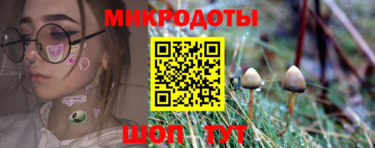 наркошоп  Псилоцибиновые грибы Psilocybine cubensis  Вход с VPN  Апшеронск 
